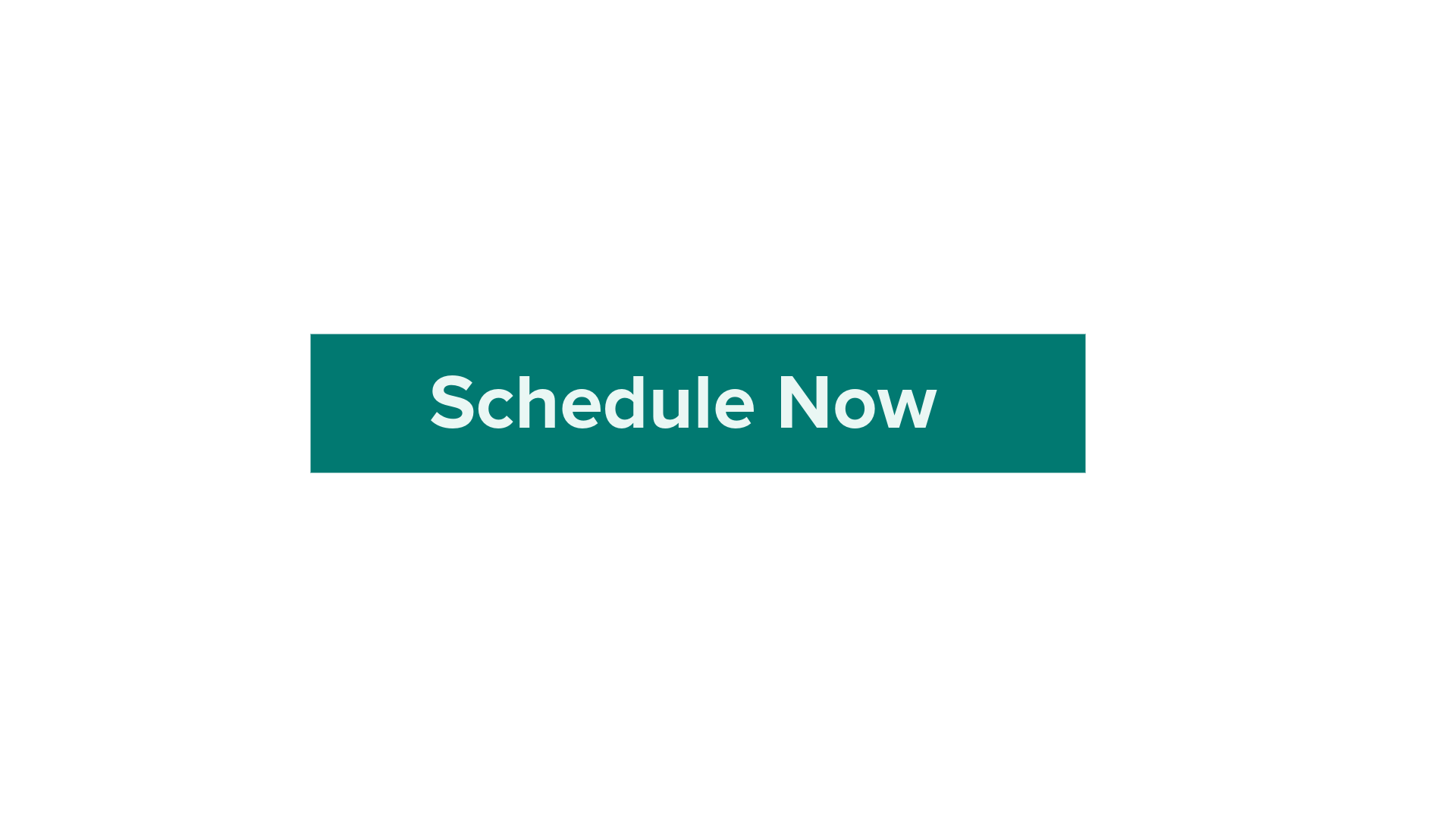 Schedule Now Button.png